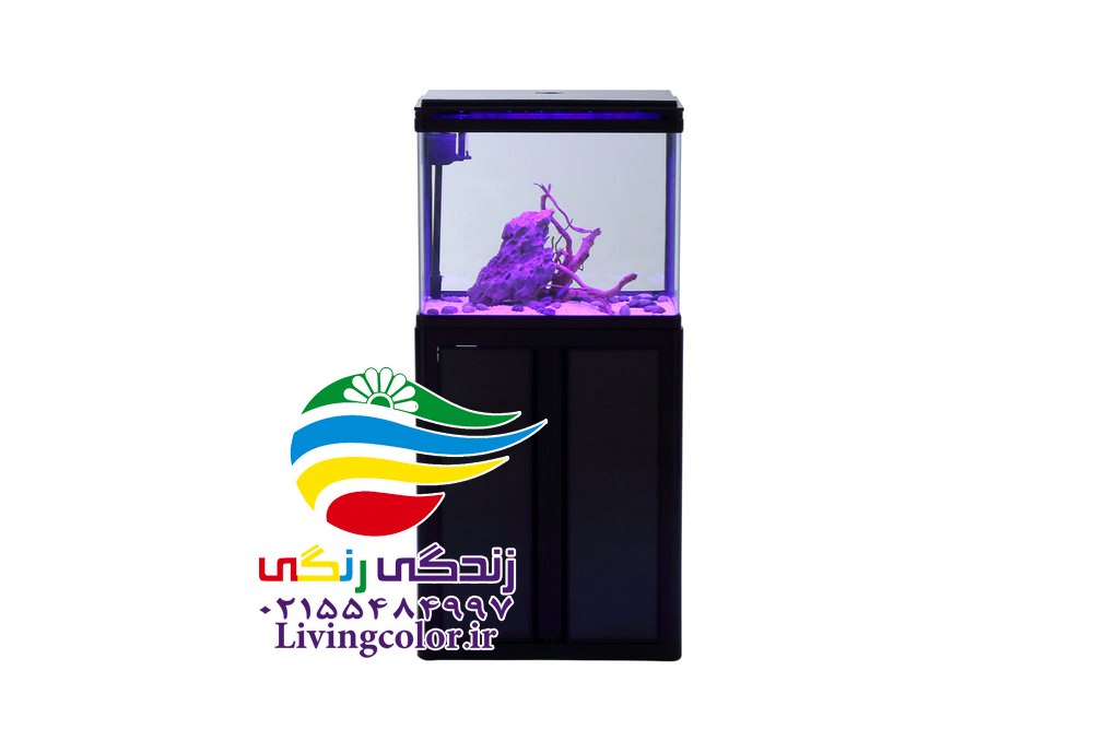 آکواریوم آماده