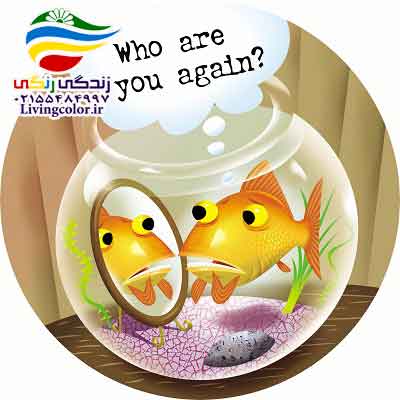 حافظه ماهی ها
