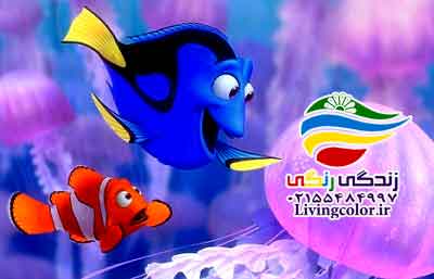 حافظه ماهی ها