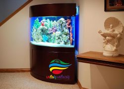 Corner-aquarium-7.jpg